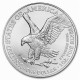 1 Oz American Eagle stříbrná investiční mince